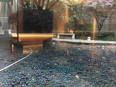 -杭州君悦酒店