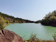 -广州白江湖森林公园