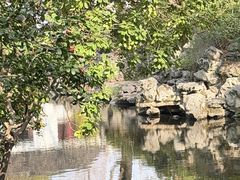 -秋霞圃