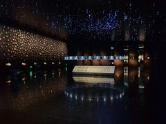 -侵华日军南京大屠杀遇难同胞纪念馆-停车场