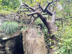 -常德桃花源景区