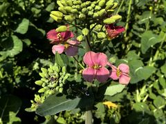 -中国天府农业博览园