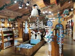 -华夏文旅海洋公园