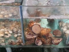 -四海鲜渔家菜(黄金海岸店)