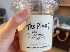 桃子乌龙-THE PLAN_T COFFEE ROASTER(定岗湖公园店)