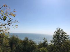 -广东惠东海龟国家级自然保护区