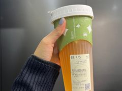 -雾与山茶(大禹城店)