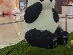 -岭南站NOVA