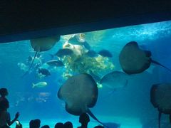 -常州海昌海洋探索馆