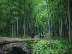 -雁荡山风景名胜区