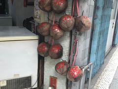 -洪馨椰子