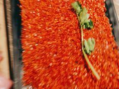 -辣伍鲜毛肚老火锅(元一店)