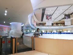 -TheRink大零溜冰场(IFS国金中心店)