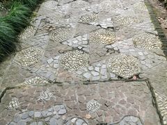 -汇龙潭