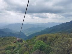 -牛背梁国家森林公园