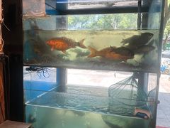 -小钱鱼馆(富春路店)