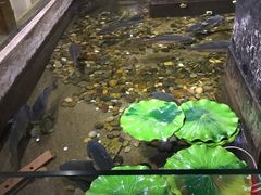 -李氏八大件老菜馆(万宝街店)