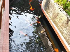 -侠成水上农庄(工业大道店)