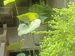 -花锦堂·隐庐