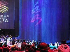 -水秀国际大剧院