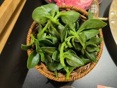 田七苗-廖掌柜·重庆鲜货火锅(上海首店)