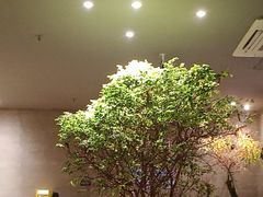 -森SPA·泰式按摩·精油Massage(宝安中心店)
