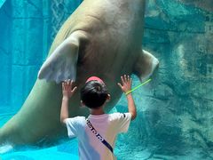 -波塞冬旅游度假区