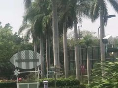-观澜湖生态运动公社