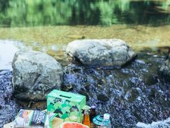 -北仑森林植物园