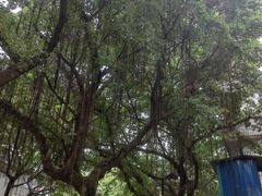 -乐山上善居·养心禅景酒店(世豪广场高铁站店)