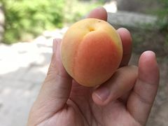 -北京凤凰岭