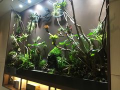 -三兴风采温泉养生(五四北秀山店)