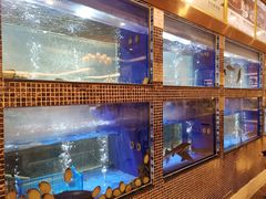 -香港美食大酒楼