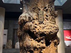 -乐山乌木文化博览苑