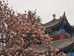 -西安市广仁寺