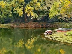 -上海共青森林公园