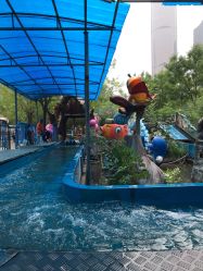 -大望京儿童游乐场