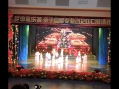 -陕西省小天鹅艺术团