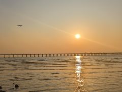 -宝安西湾红树林湿地公园