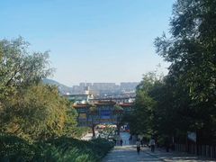 -府君山公园