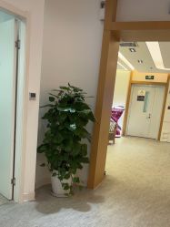 -天津伊美尔医疗整形美容专科医院