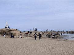 -老虎石海上公园