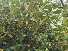 -狼山风景名胜区