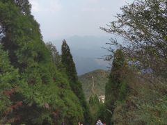 -江西阳明山国家森林公园