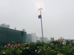 -钱江新城灯光秀