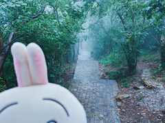 -紫金山山顶公园