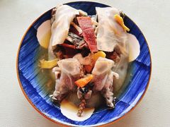 -德清诚信农产品莫干湖甲鱼直销店