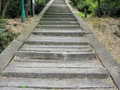 -长沙黑麋峰国家森林公园