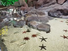 -福州罗源湾海洋世界旅游区