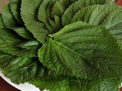 -郭记烤肉(正阳街店)